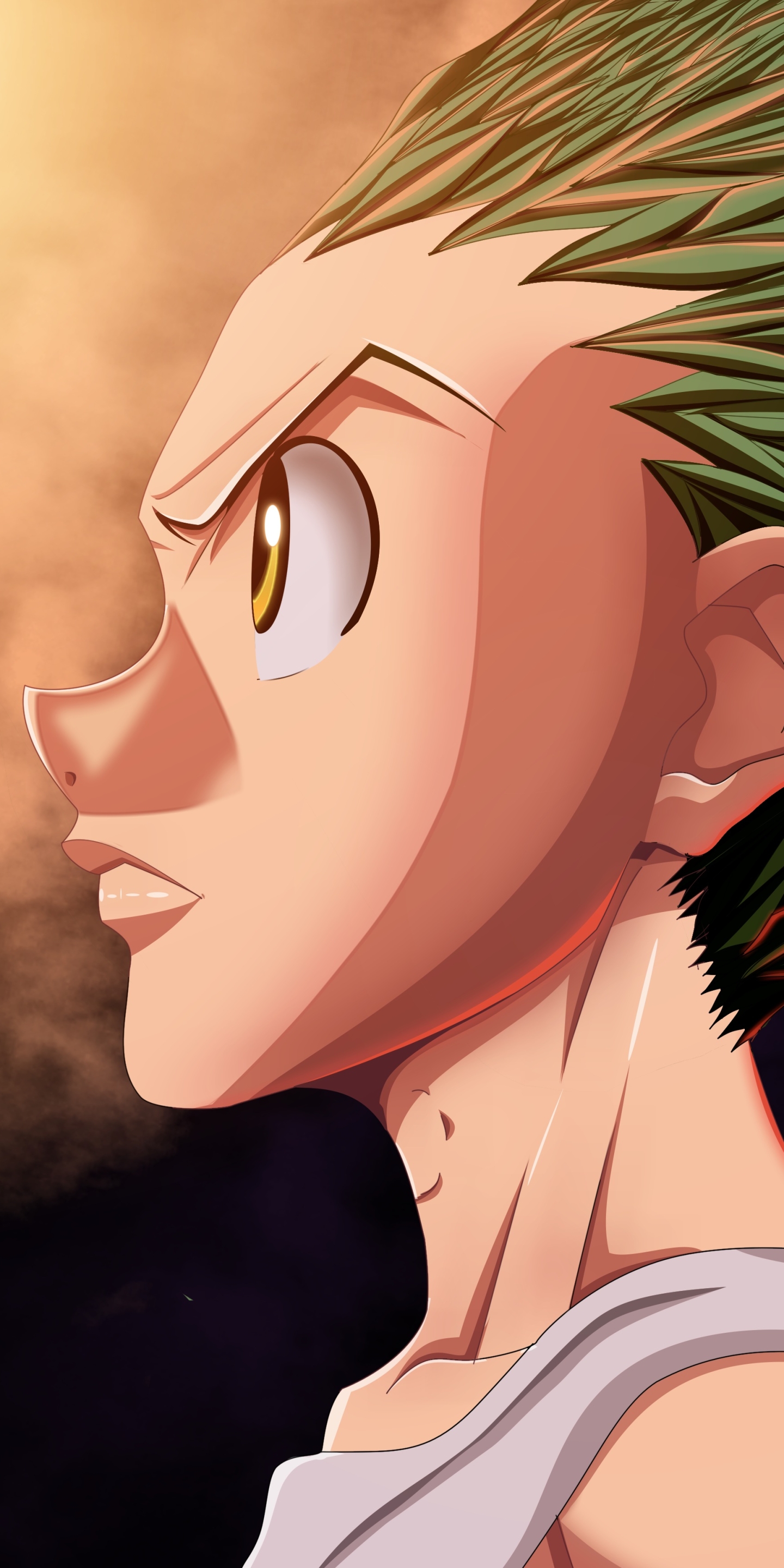 Hunter × Hunter iphone Wallpaper - NawPic