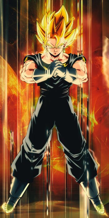  DBZ vegito