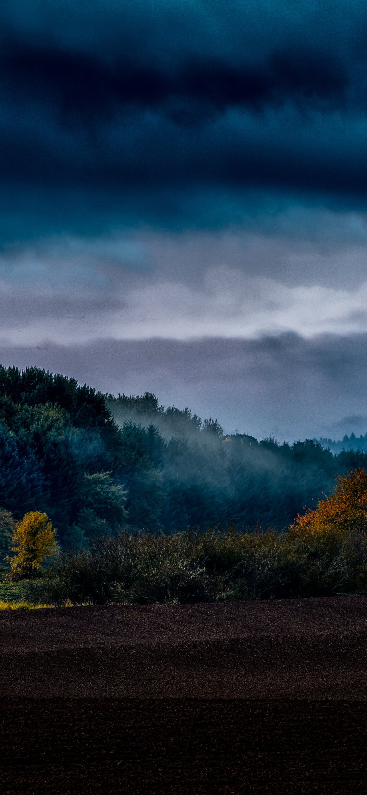 Download Nature Fall Phone Wallpaper