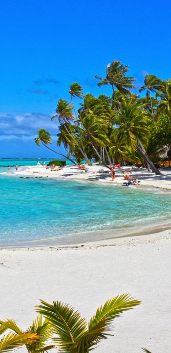  Beach in Bora Bora by Tim Jordan