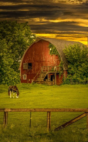 man made barn Phone Wallpaper