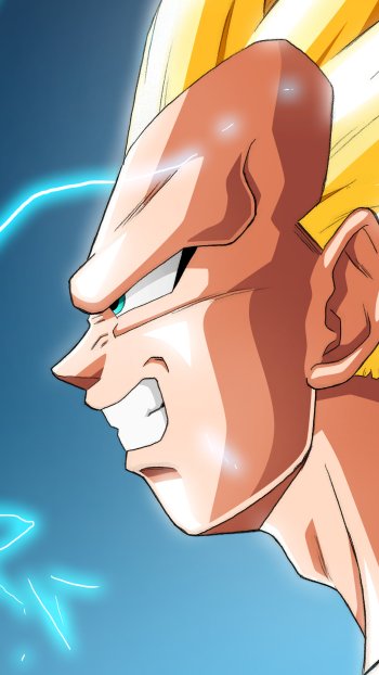  Vegeta SSJ3 by Tom Skender