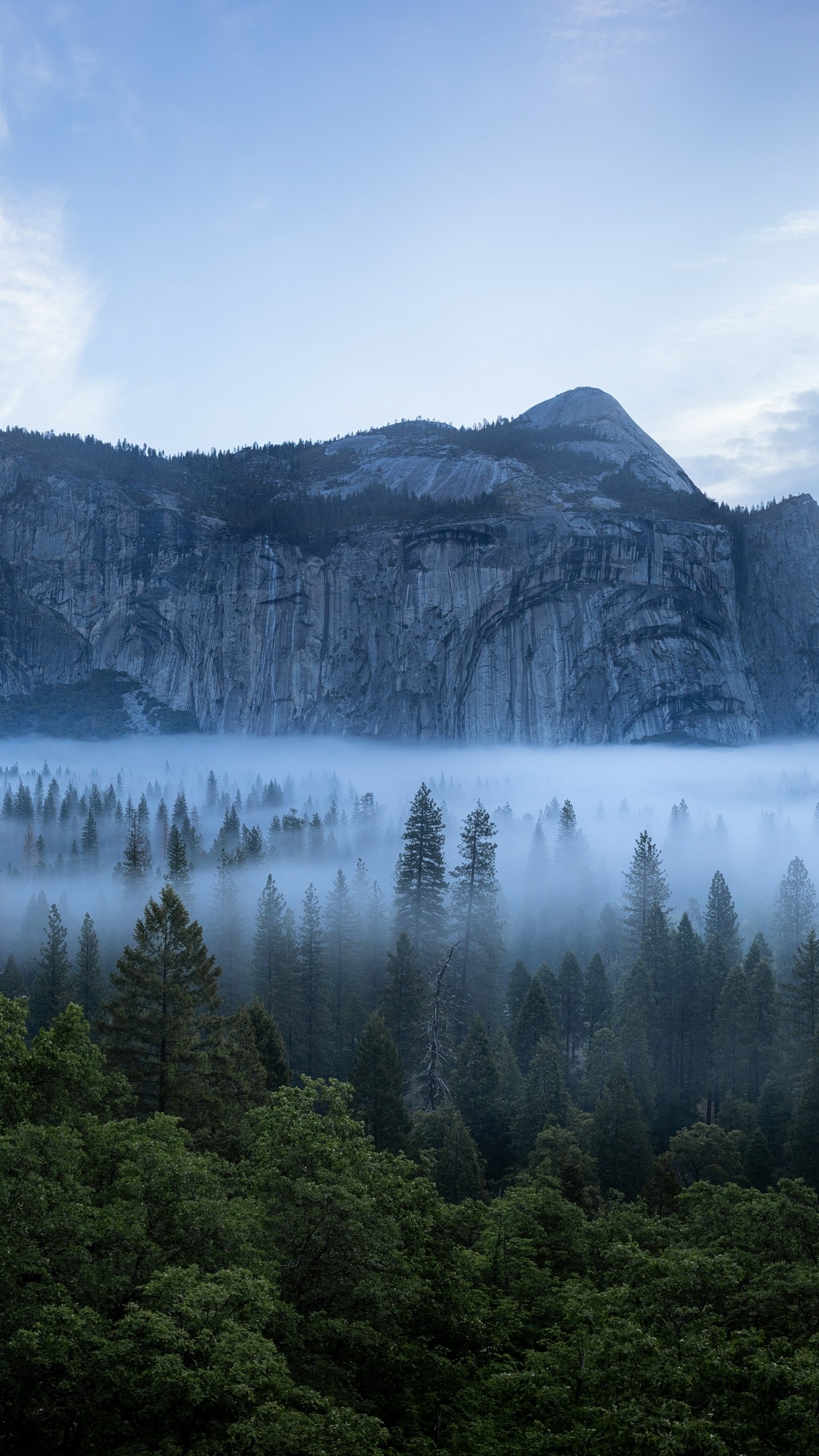 Download Nature Yosemite National Park Phone Wallpaper