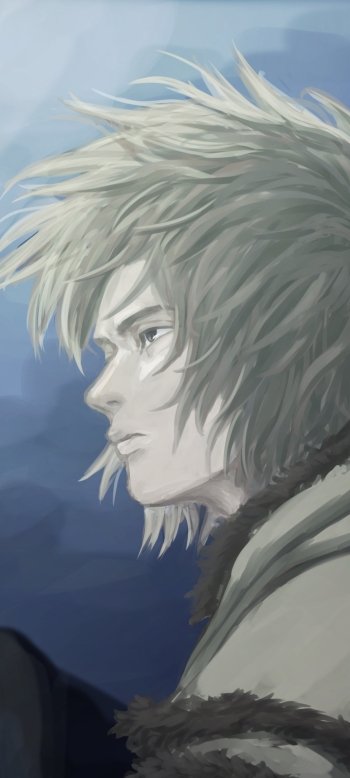  Thorfinn - Vinland Saga