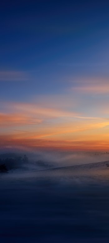 nature fog Phone Wallpaper