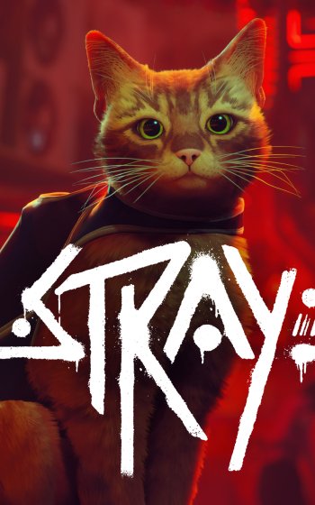 video game Stray Phone Wallpaper