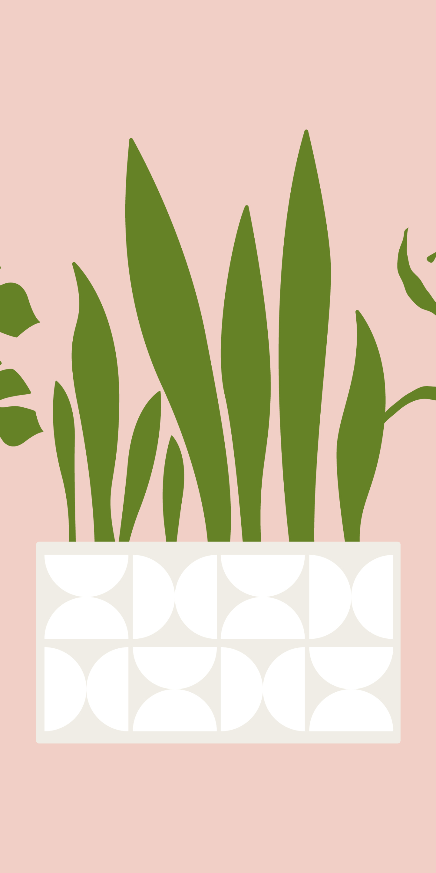 Plant Phone Wallpaper