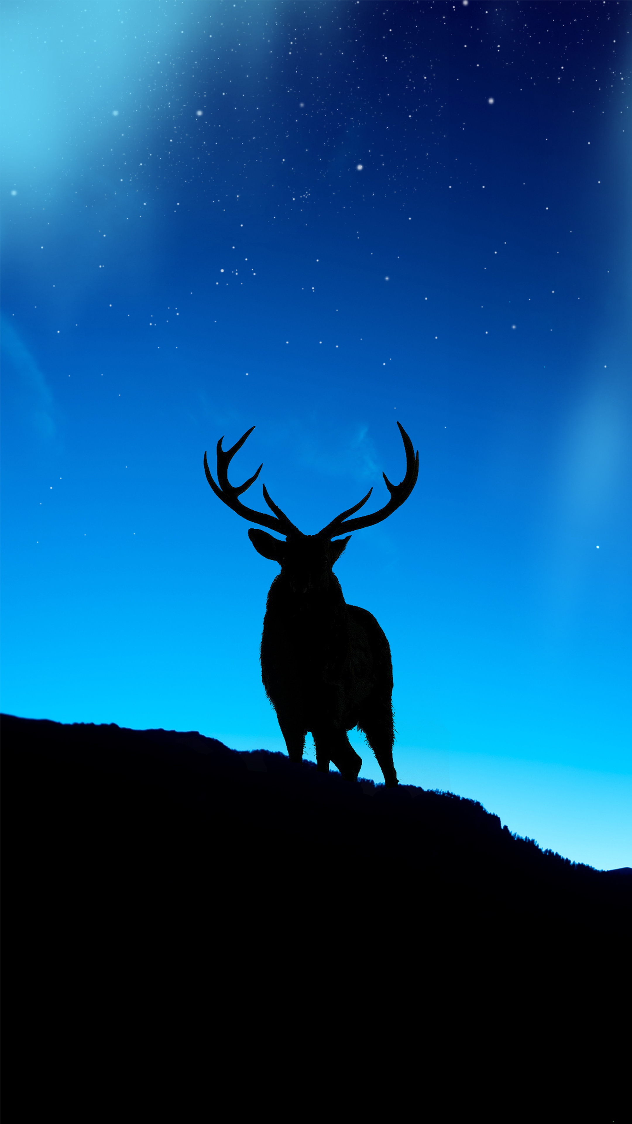 Deer and Northern Lights by Suranga Weeratunga