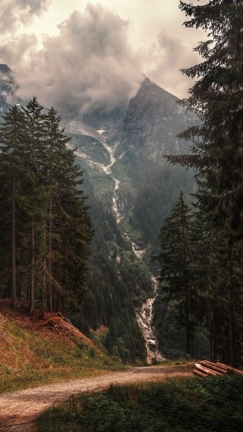 nature path Phone Wallpaper
