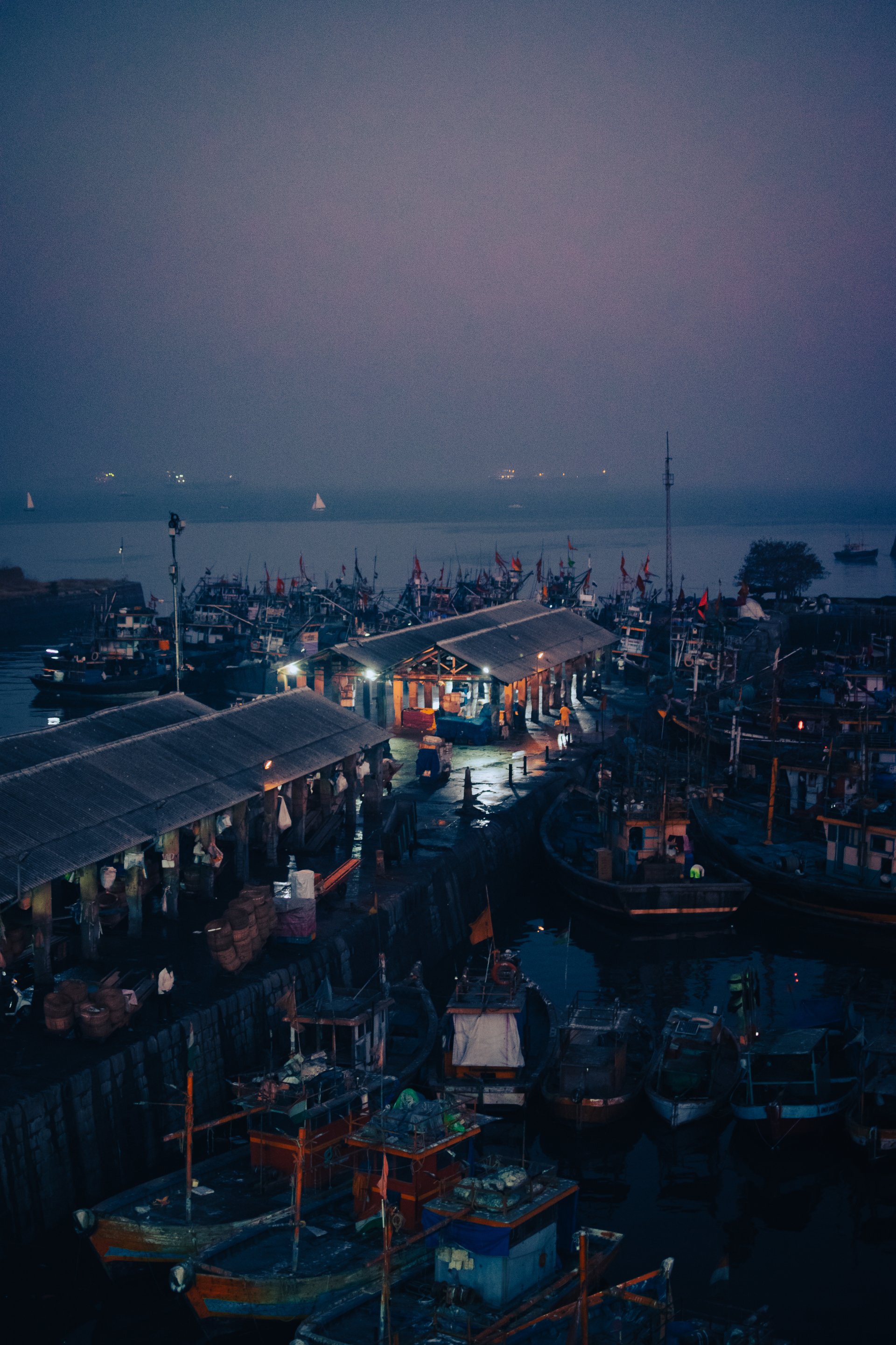 Fish port by Heliotrope