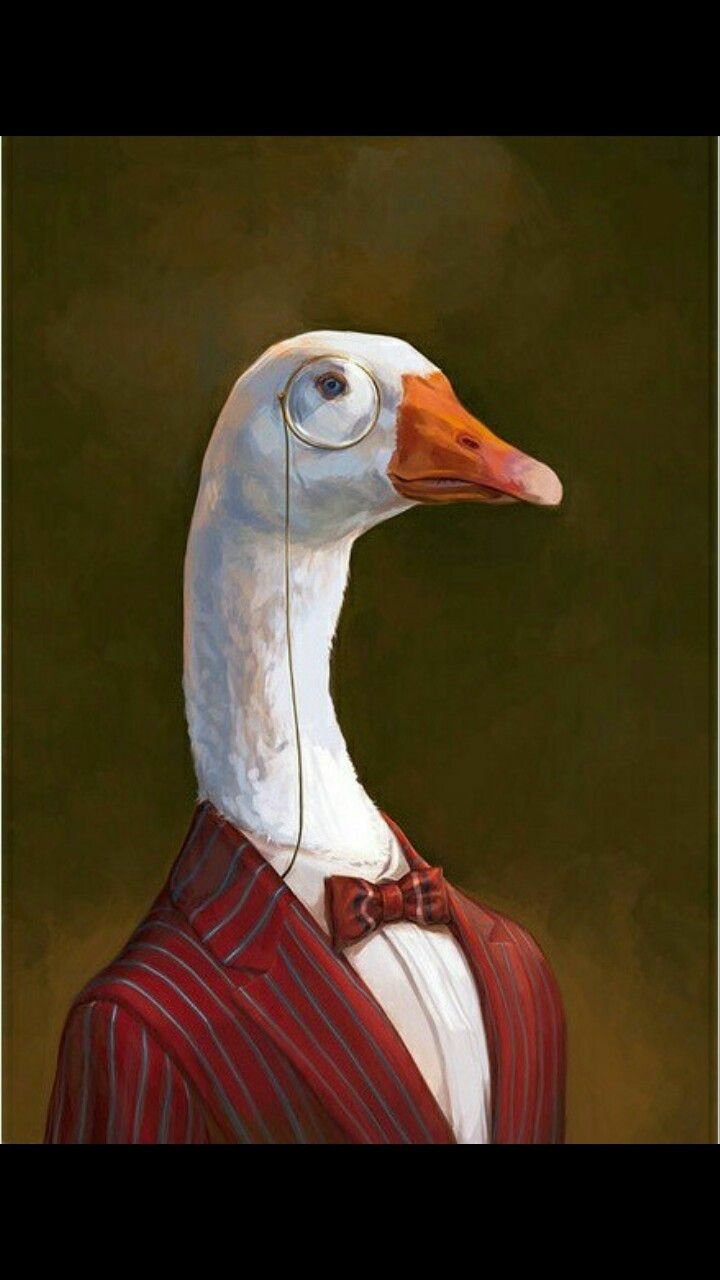 Download Funny Animal Phone Wallpaper