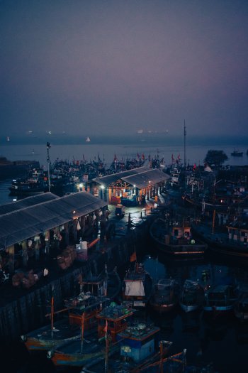  Fish port