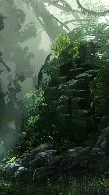 Jungle Rock by Alex van der Linde