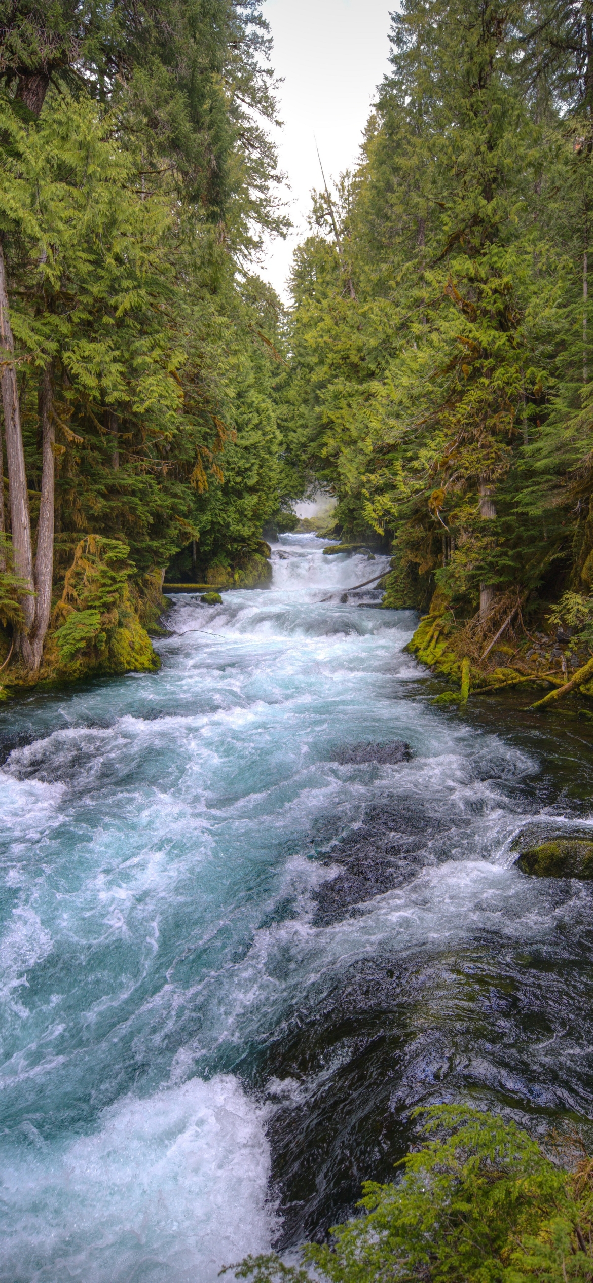 McKenzie River is a 90-mile tributary of the Willamette River in western Oregon in the USA by Hardebeck Media