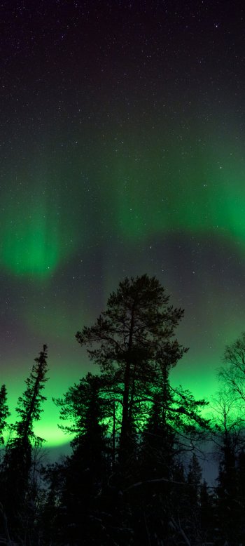 nature aurora borealis Phone Wallpaper