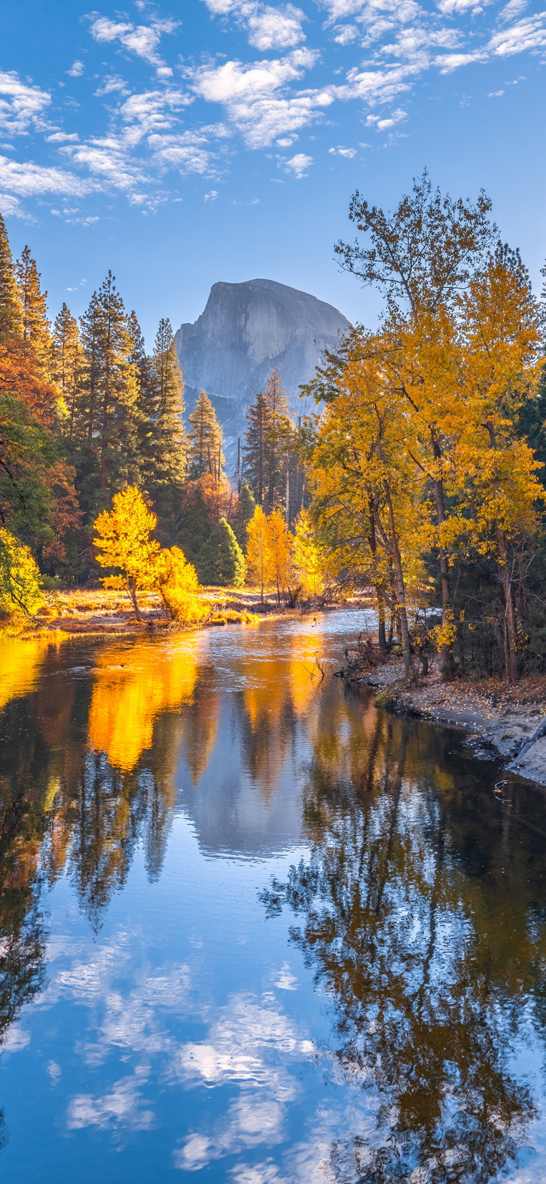 Yosemite National Park Phone Wallpaper