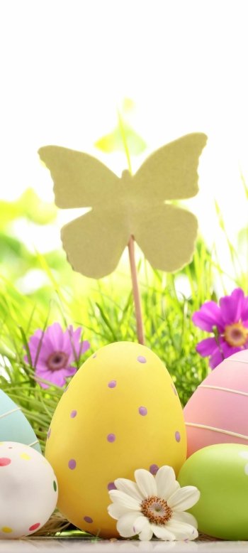  Easter eggs and flowers