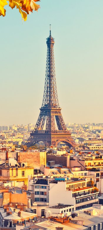 man made Eiffel Tower Phone Wallpaper