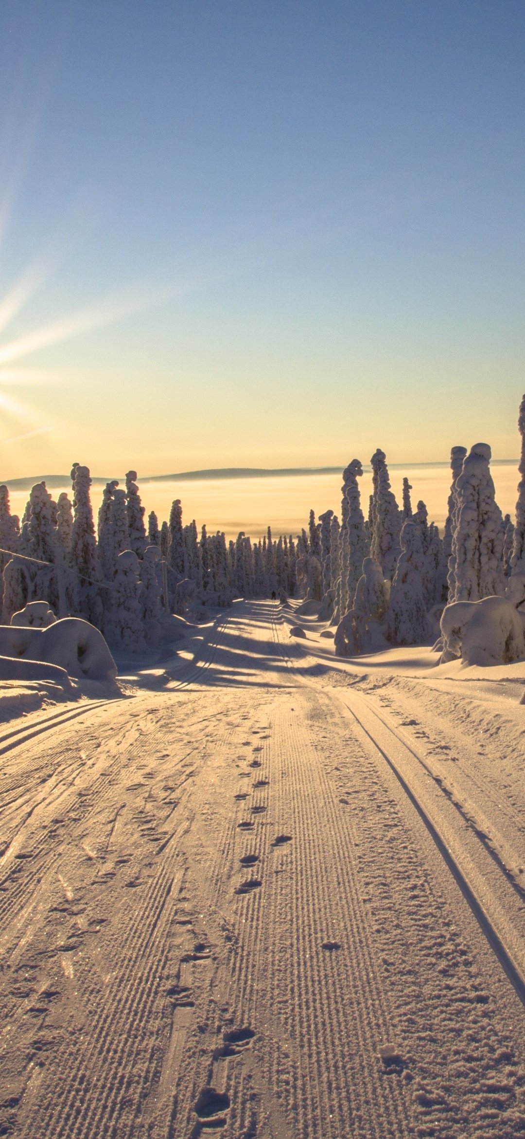 Download Nature Winter Phone Wallpaper