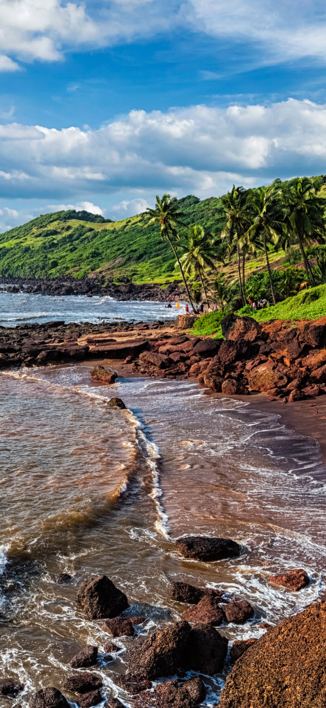 Vertical phone wallpaper of a tropical beach: rocky shoreline and gentle waves, palm trees along a green hillside under a bright blue sky scattered with clouds.