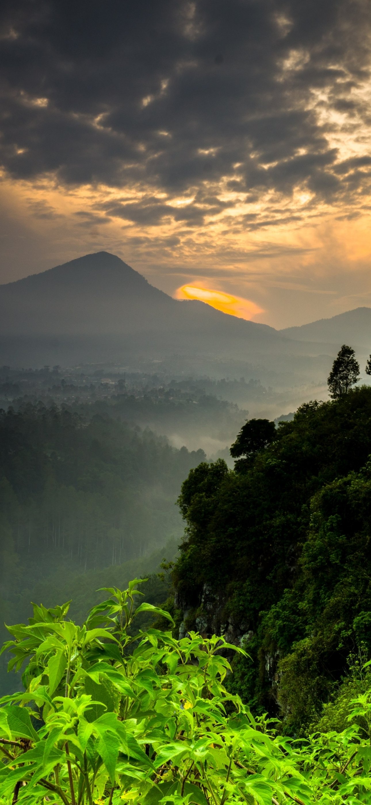 Vertical phone wallpaper: misty mountain landscape at sunrise, nature's layered ridges with a glowing sky breaking through clouds, and lush green foreground foliage.