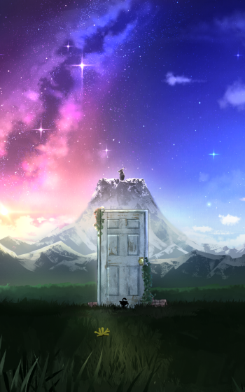 Phone wallpaper — Anime: Suzume no Tojimari. A lone door rises in a grassy field with a small black cat, a distant snowy mountain and a vivid, star-filled twilight sky.
