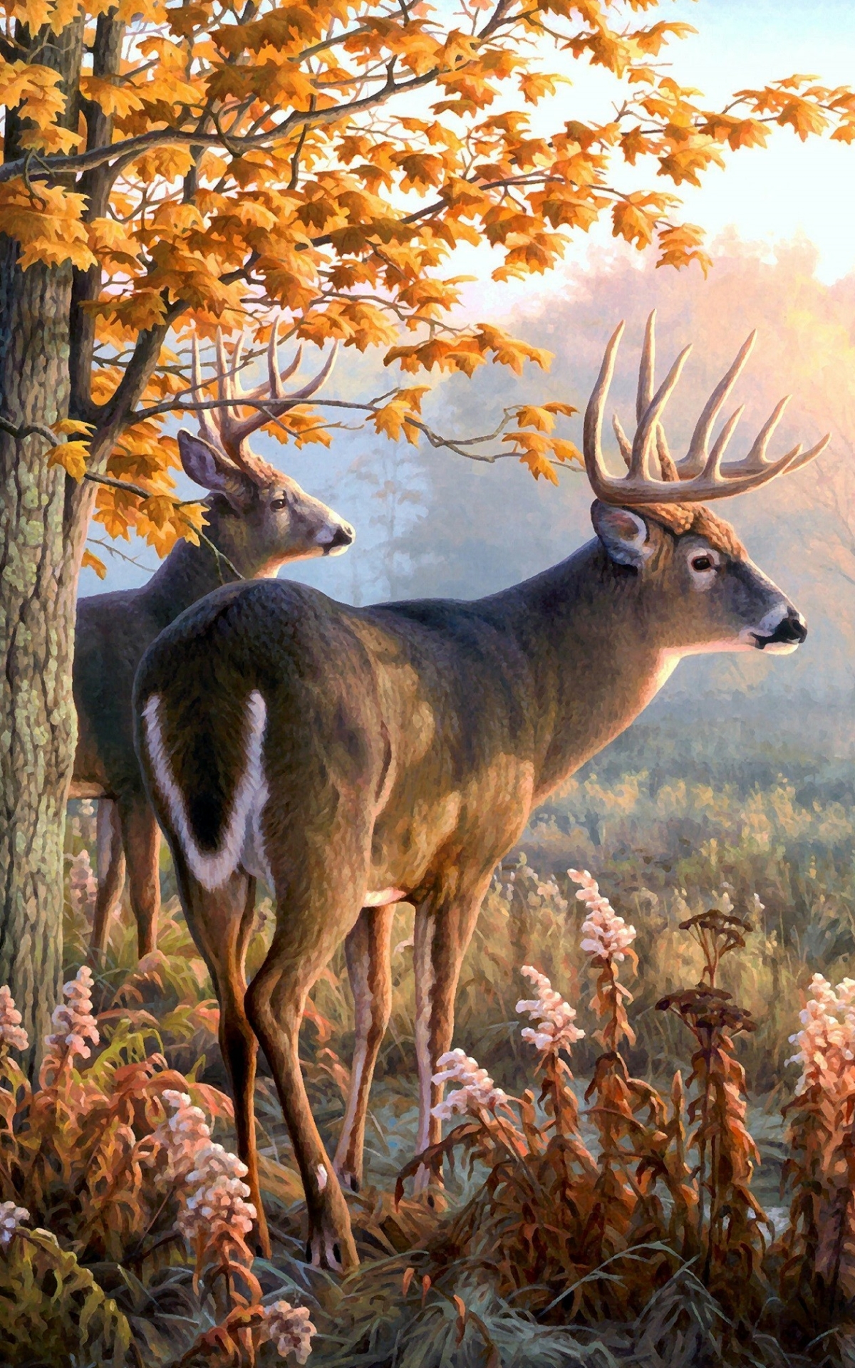 Deer Phone Wallpaper