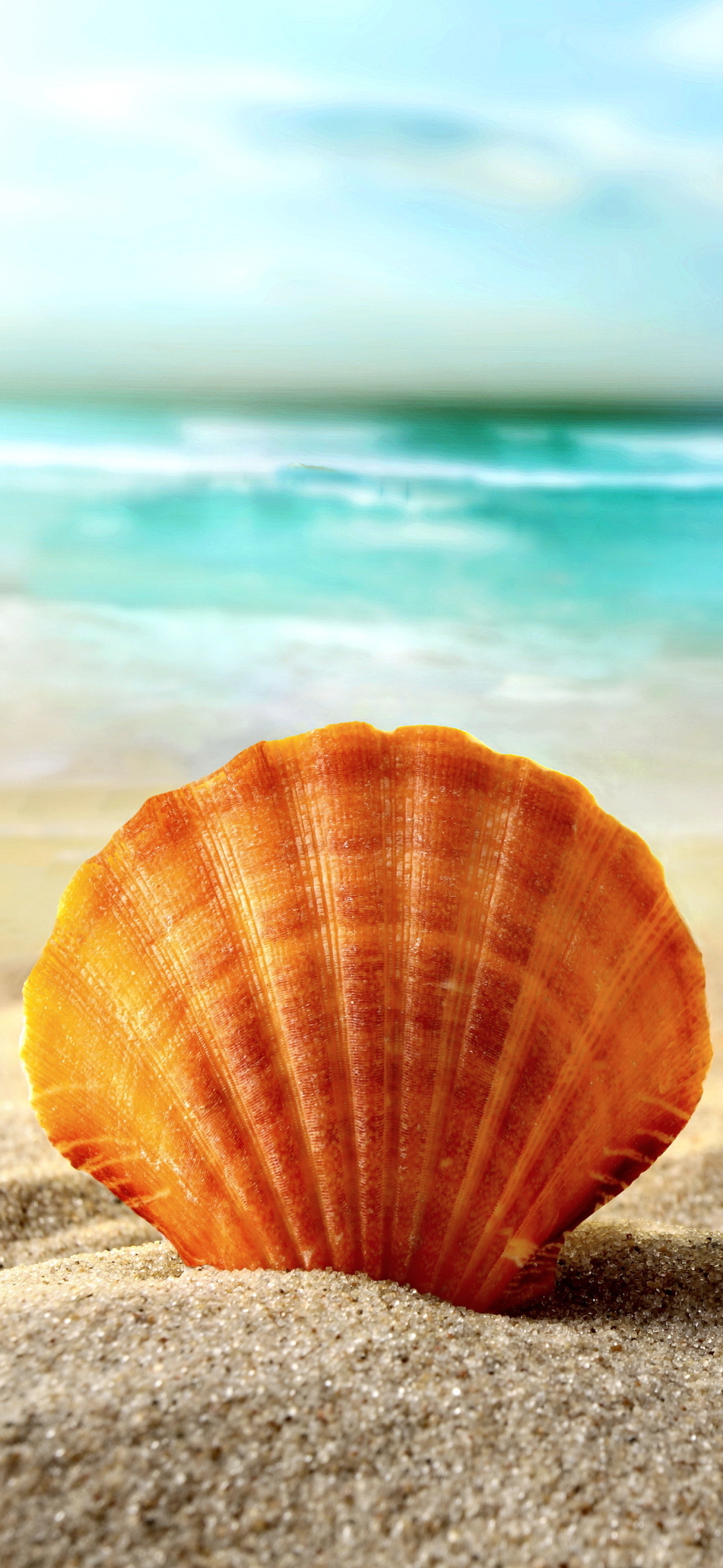 Shell desktop