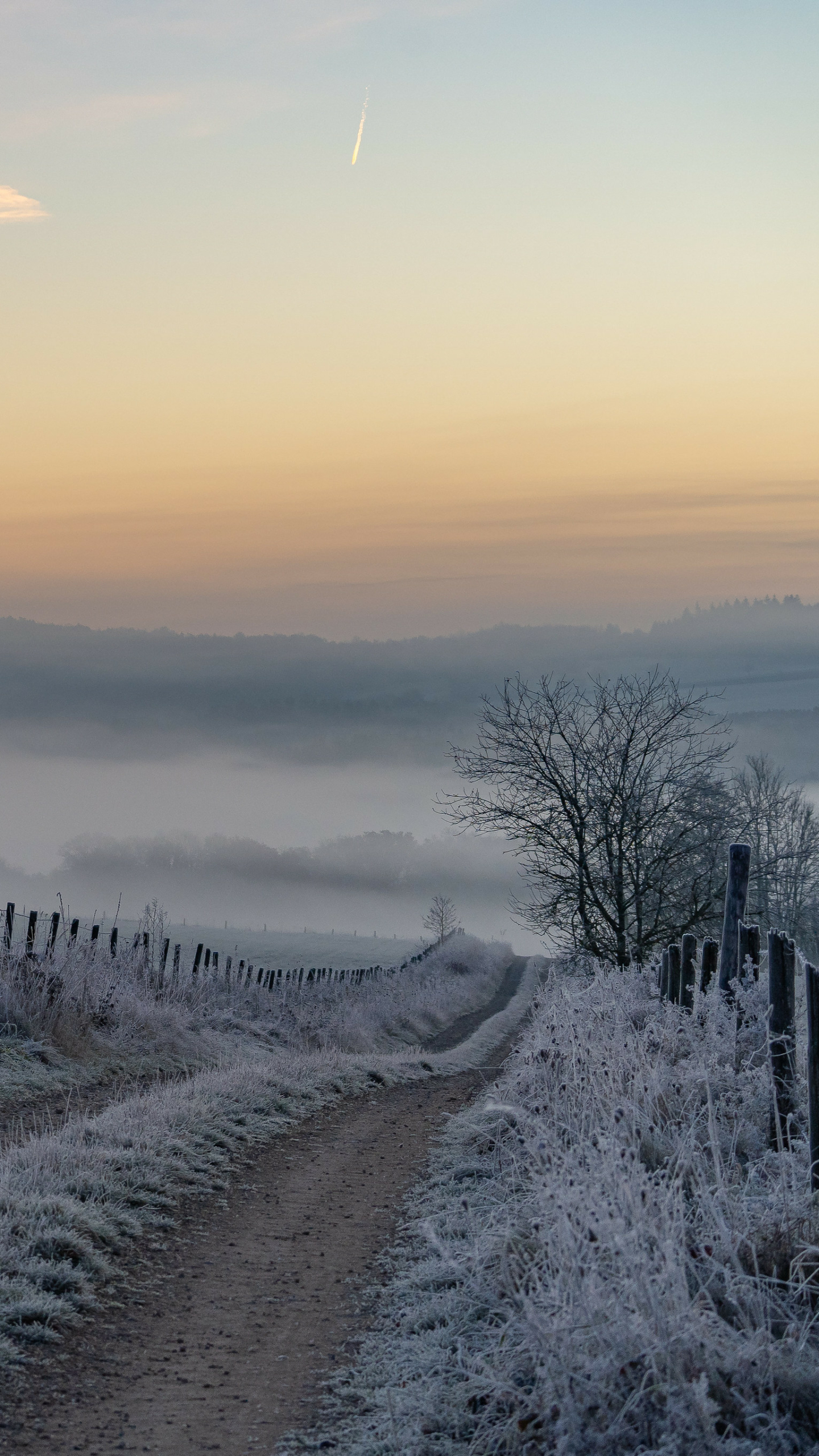 Morning frost by Woewwesch