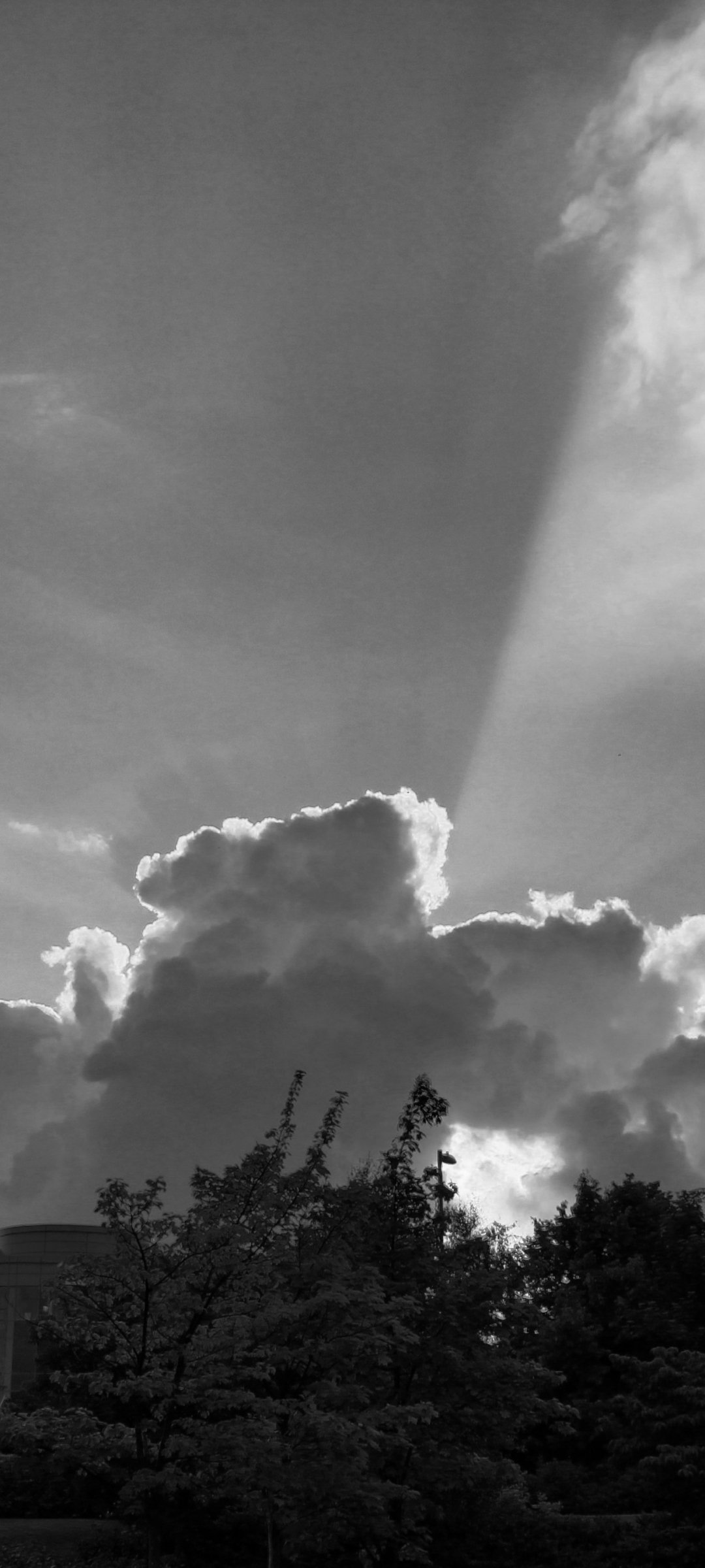 Download Nature Sky Phone Wallpaper