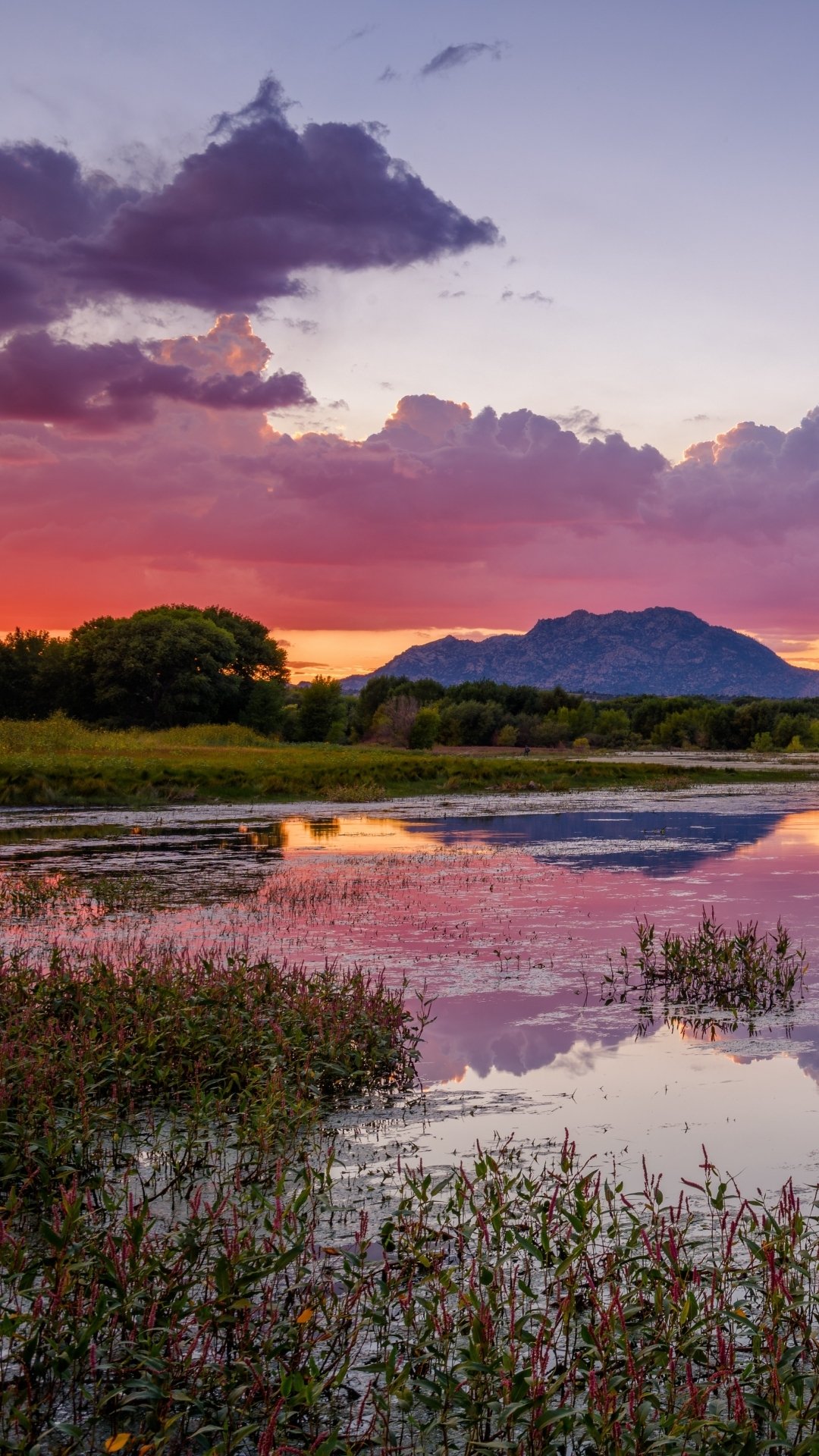 Download Nature Lake Phone Wallpaper