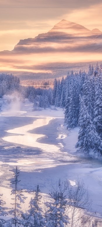nature winter Phone Wallpaper