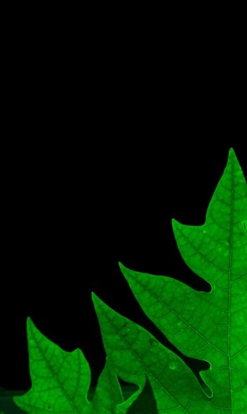  Leaf green Amoled