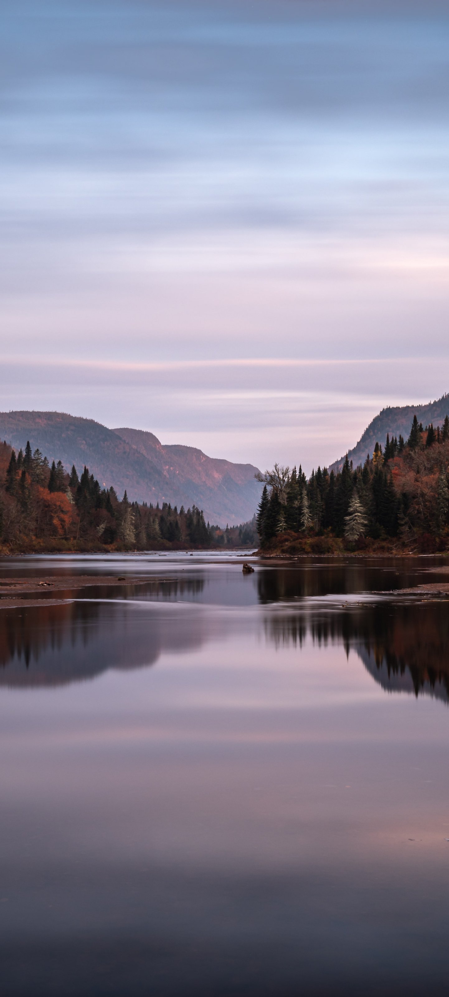 Download Nature River Phone Wallpaper