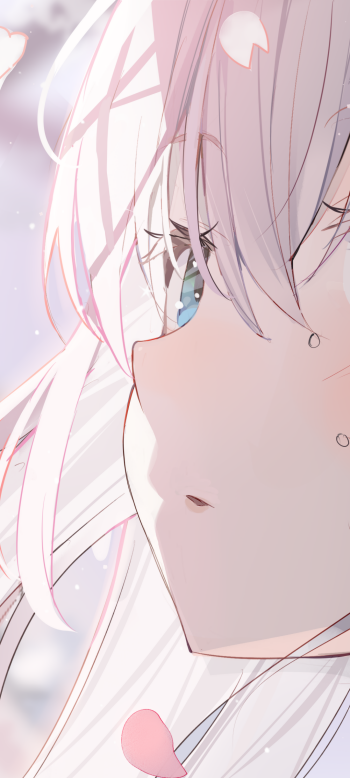 Close-up anime girl profile with white-pink hair, blue eye and drifting sakura petals — phone wallpaper sized for iPhone and Android.