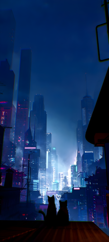  Cats Love Night