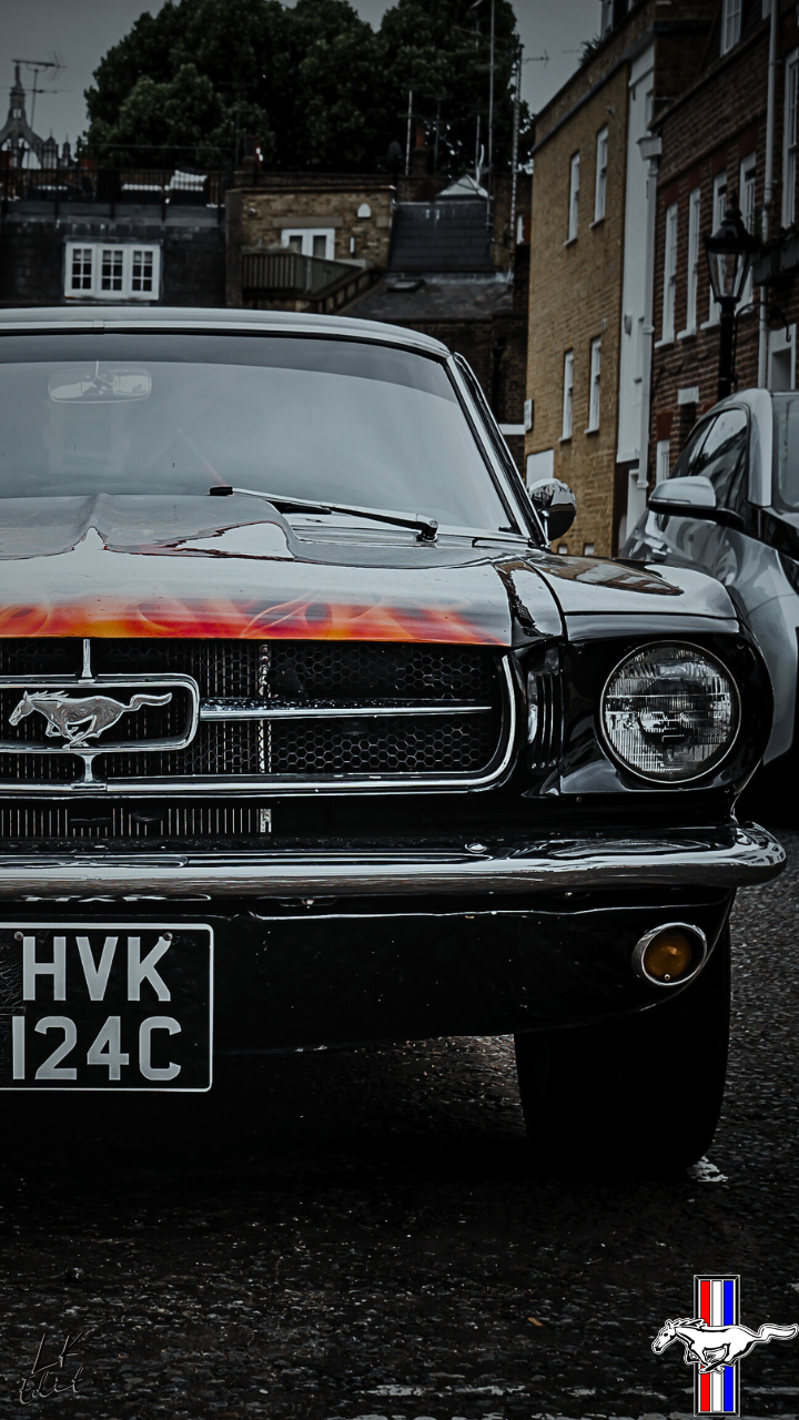Mustang Retro Fire by Lord Keegan