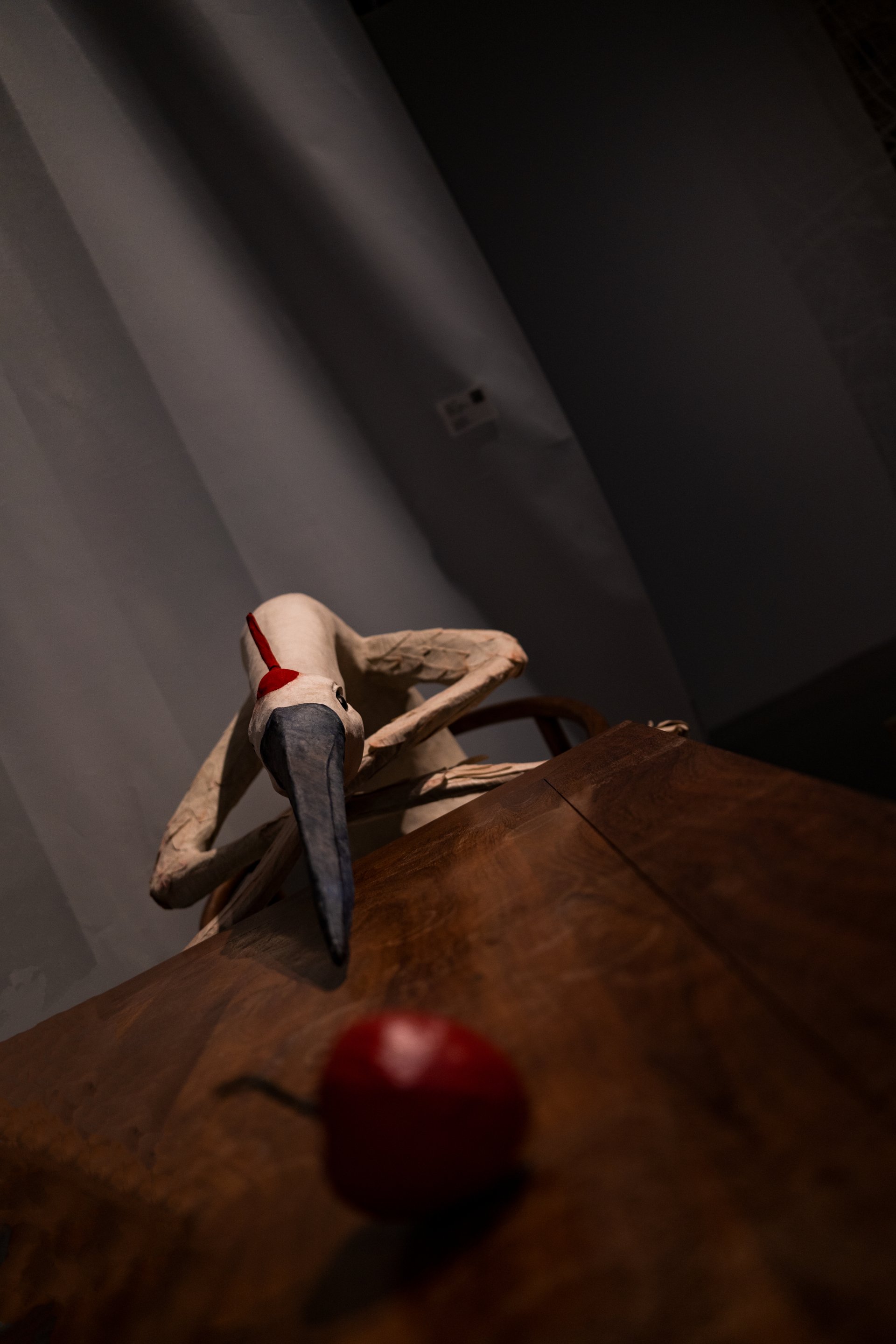 Download Animal Bird Phone Wallpaper by Calvin Kwok