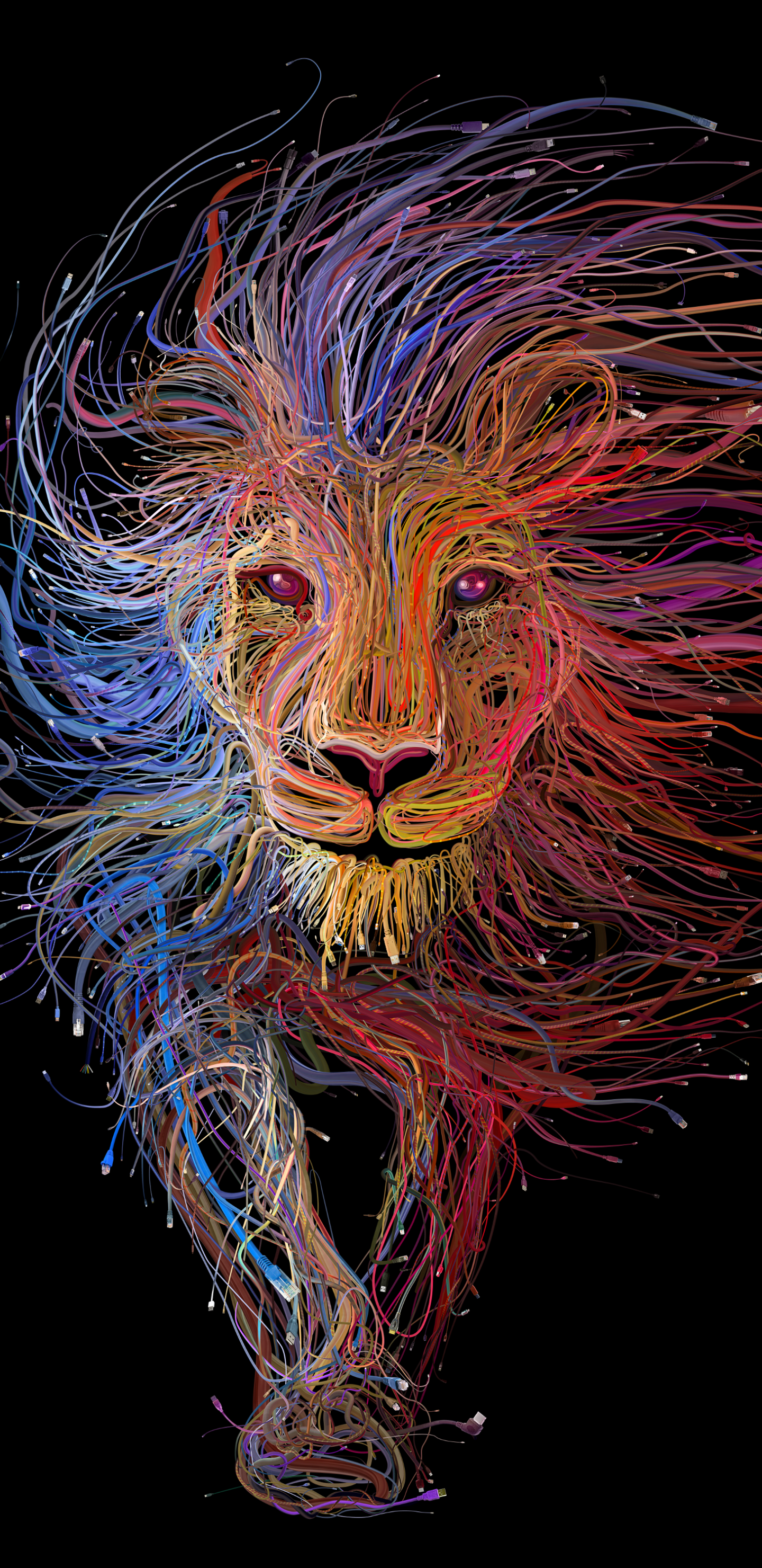 Colorful Lion by Charis Tsevis