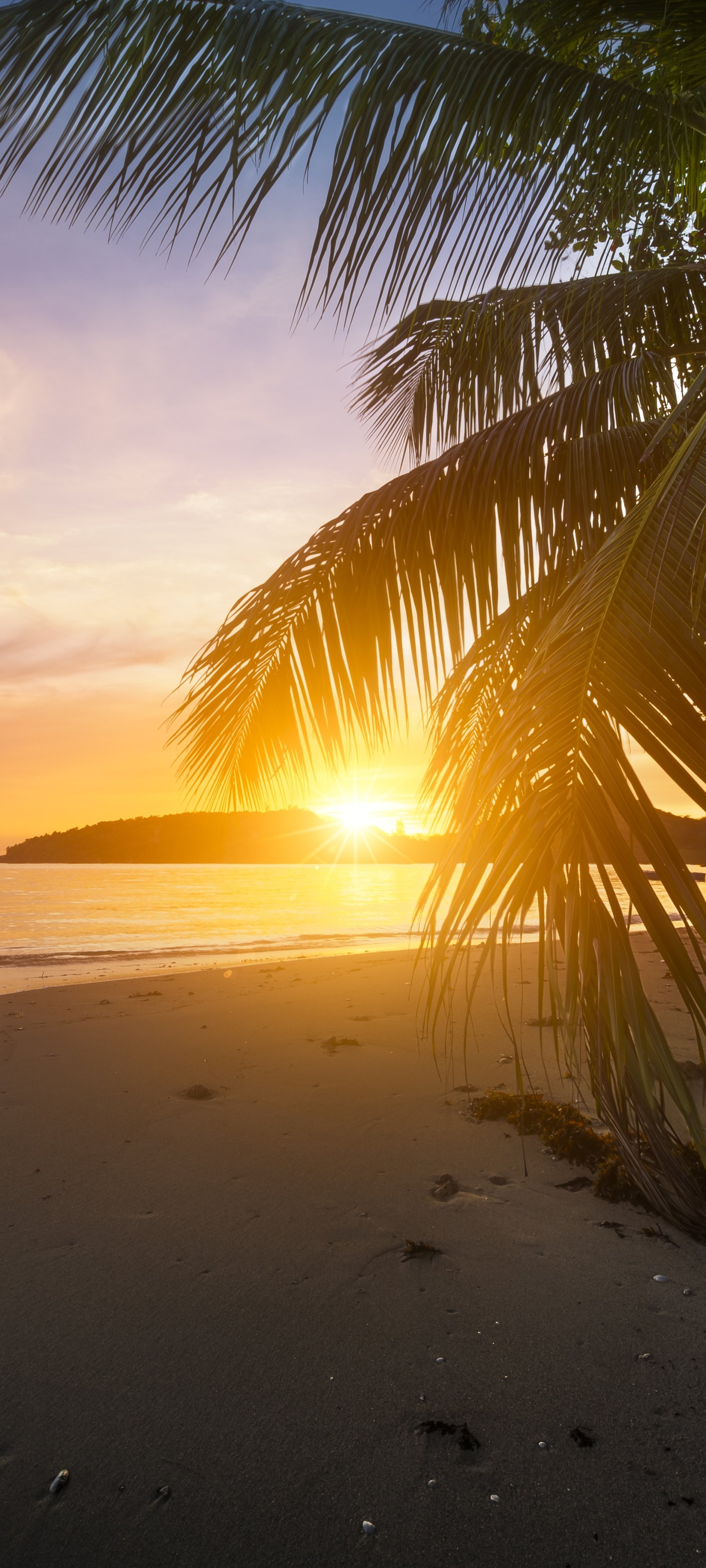 Download Nature Beach Phone Wallpaper