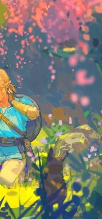 The Legend of Zelda Breath of the Wild for the Nintendo Switch home  gaming system and Wii U console  Media