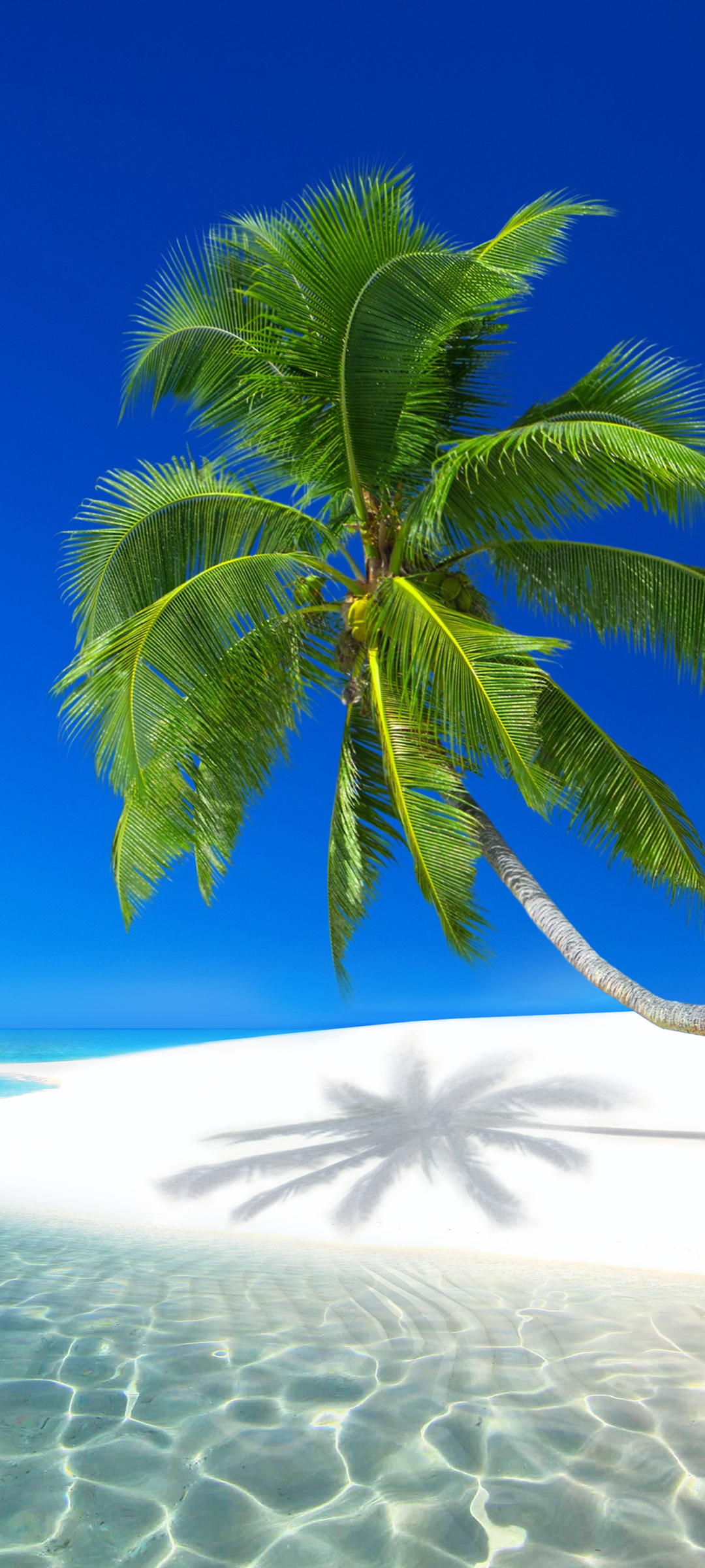 Mobile Wallpaper With Tropical Vegetation Background Images Free Download  on Lovepik  400569614