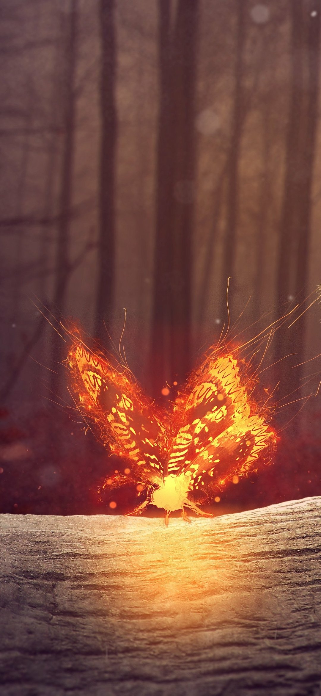 Phone wallpaper featuring a butterfly (animal) of glowing orange flames perched on a log in a misty forest, light reflecting off the wood.